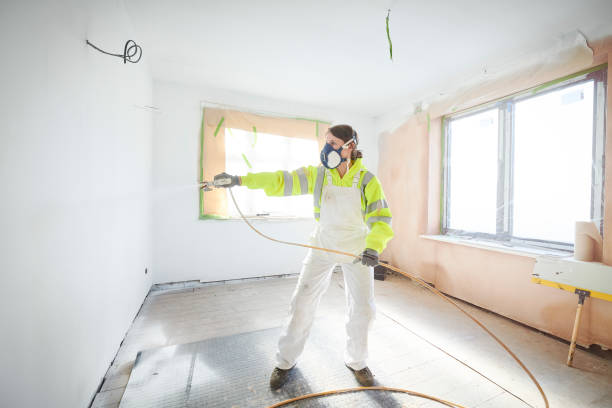 Best Water Damage & Mold Remediation  in Marlette, MI