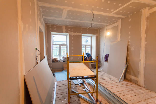 Trusted Marlette, MI Mold Removal Experts
